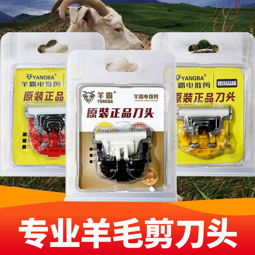 羊霸绒山羊电推剪羊毛刀头刀头
