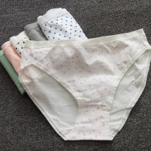 Slip Moyen-âge 100% Style de 17 en coton - Ref 645288 Image 13