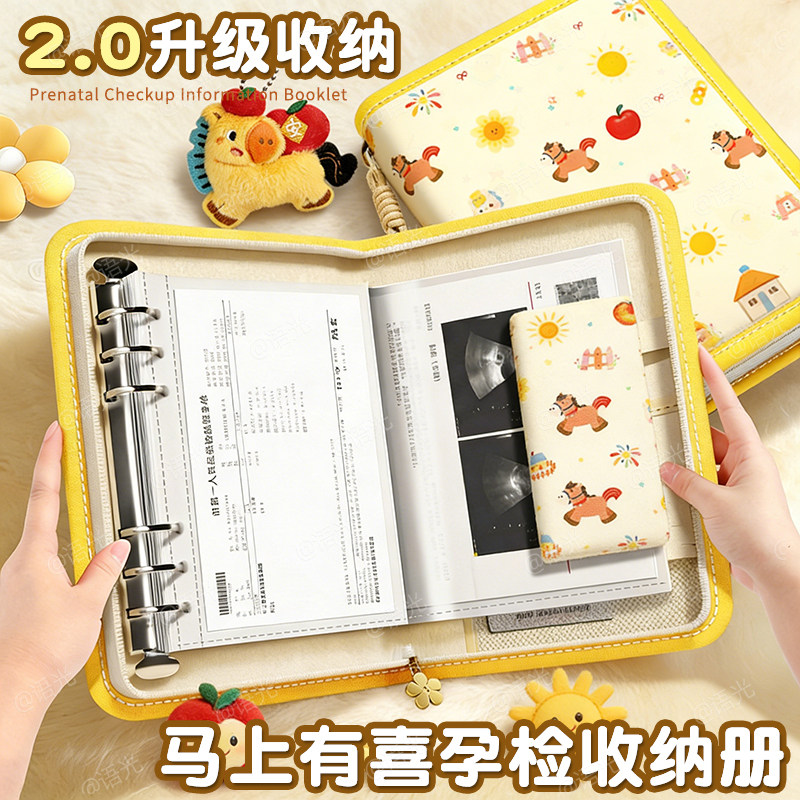 产检收纳册孕检收纳袋孕妇初期必备用品医院报告单孕期档案册带拉链产