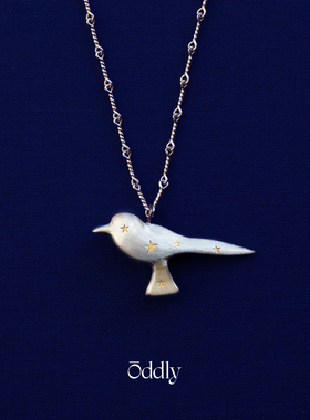 oddly 星星魔法大鸟镀金 纯银项链高级感轻奢原创设计锁骨链礼物