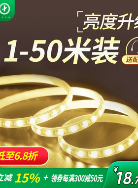 雷士照明灯带led灯条220v嵌入式客厅吊顶灯带条灯条超亮贴片led灯