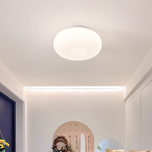 照明led吸顶灯雷士简约