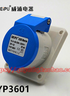 WEIPU威浦连接器 TYP3601 工业暗装斜式插座 3芯（2P+E）16A IP44