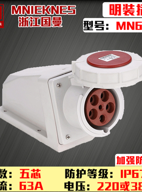 MN6512浙江国曼MNIEKNES三相五芯5P63A工业防水活动插头3P+E+N