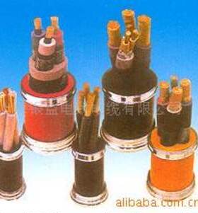 VV22 ZR-YJV22 2*1平方0.6/1KV交联铠装电力电缆 国标 阻燃线