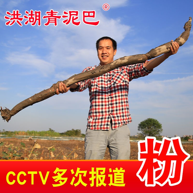 洪湖青泥巴莲藕粉糯香甜