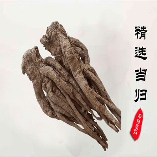 甘肃岷县农家 自产全当归搭配黄芪党参 特级无硫500克包邮