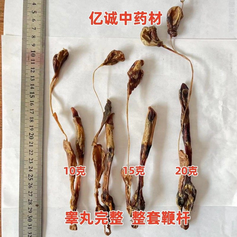 安国中药材市场批 发 狗鞭带睾
