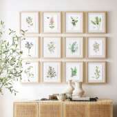 淡雅小花卉植物组图挂画装 美国进口美式 饰画 价格无优惠 促销