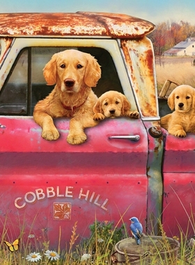 加拿大Cobble Hill进口益智拼图80116狗狗一家在农场1000片包邮