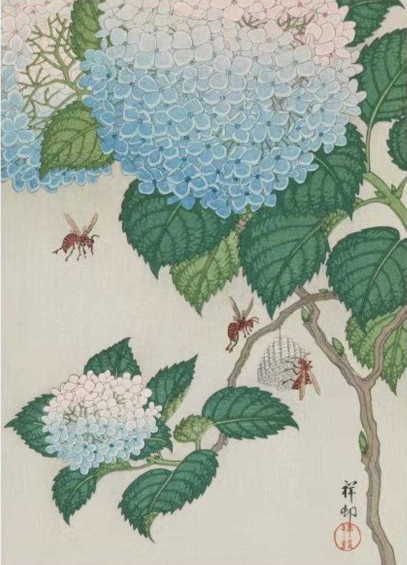 日本进口益智名画拼图520片中国风浮世绘紫阳花与蜜蜂小原古邨-封面