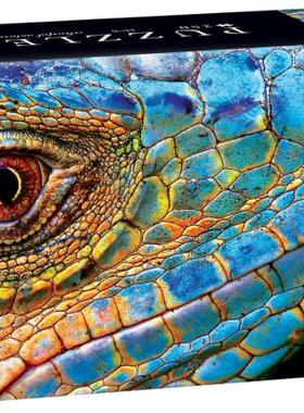 新款包邮 Interdruk波兰进口成人益智拼图 蜥蜴250大片彩色大自然