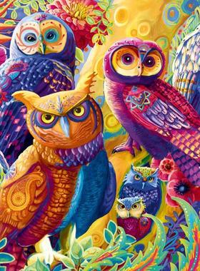 包邮 法国Bluebird蓝鸟进口成人益智拼图70498猫头鹰家族1000片