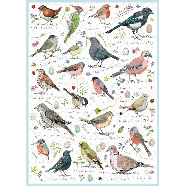 现货包邮 英国Otter House进口成人益智拼图75087野生鸟类1000片