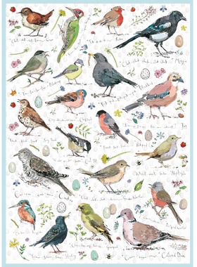 现货包邮 英国Otter House进口成人益智拼图75087野生鸟类1000片