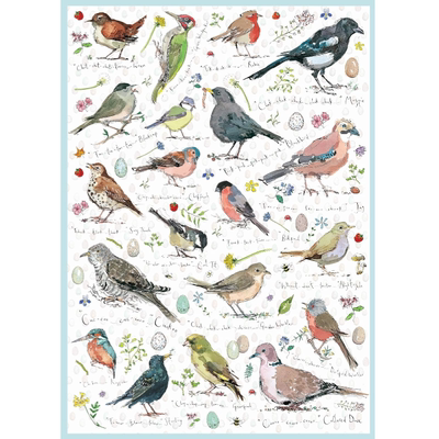 现货包邮 英国Otter House进口成人益智拼图75087野生鸟类1000片