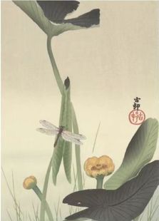 日本进口益智名画拼图520片中国风 浮世绘 莲叶上的蜻蜓 小原古邨