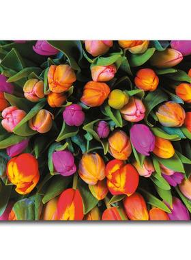 正品包邮 奥地利Piatnik进口成人益智拼图减压 5539郁金香1000片