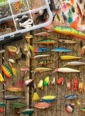 现货包邮 加拿大Cobble Hill 进口益智拼图57132 鱼饵1000片小盒