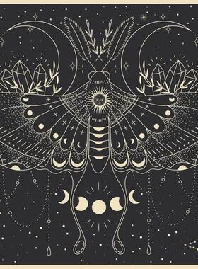 新款包邮 Interdruk波兰进口成人益智文艺拼图 蝴蝶星象500片减压