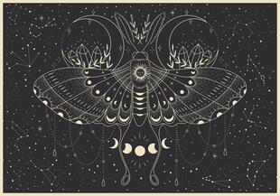 新款包邮 Interdruk波兰进口成人益智文艺拼图 蝴蝶星象500片减压