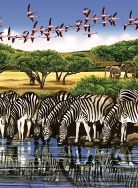 现货包邮 加拿大Cobble Hill进口益智拼图52044斑马和火烈鸟500片