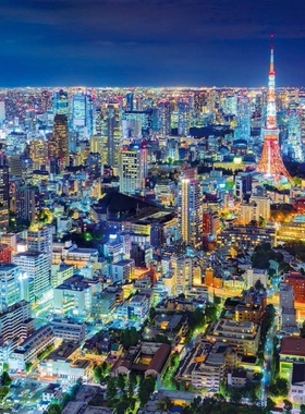 现货包邮日本EPOCH进口成人益智拼图54-018东京之夜景 迷你2000片