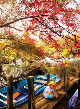 现货包邮 美国SunsOut进口益智风景拼图玩具30122清晨池塘550大片