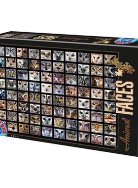 新款包邮 D-Toys罗马尼亚进口益智拼图74331FA01猫头鹰拼贴1000片