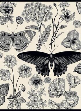 新款包邮Interdruk波兰进口益智文艺拼图花园蝴蝶和植物500片黑白