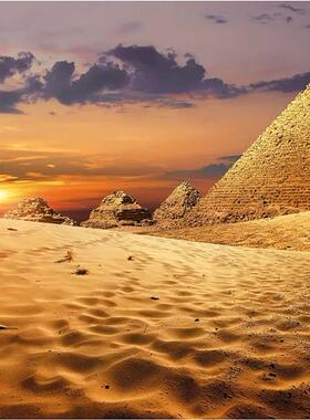 新款包邮 西班牙Educa进口益智拼图19643埃及沙漠中的骆驼1000片