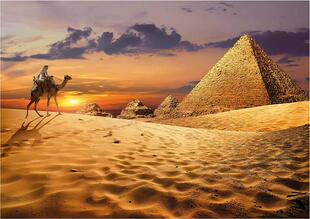 新款包邮 西班牙Educa进口益智拼图19643埃及沙漠中的骆驼1000片