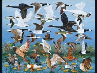 现货包邮 美国Pomegranate石榴进口益智拼图AA1014 群鸟起飞500片