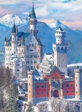 新款 欧版异形Eurographics加拿大进口拼图 冬季的新天鹅堡1000片