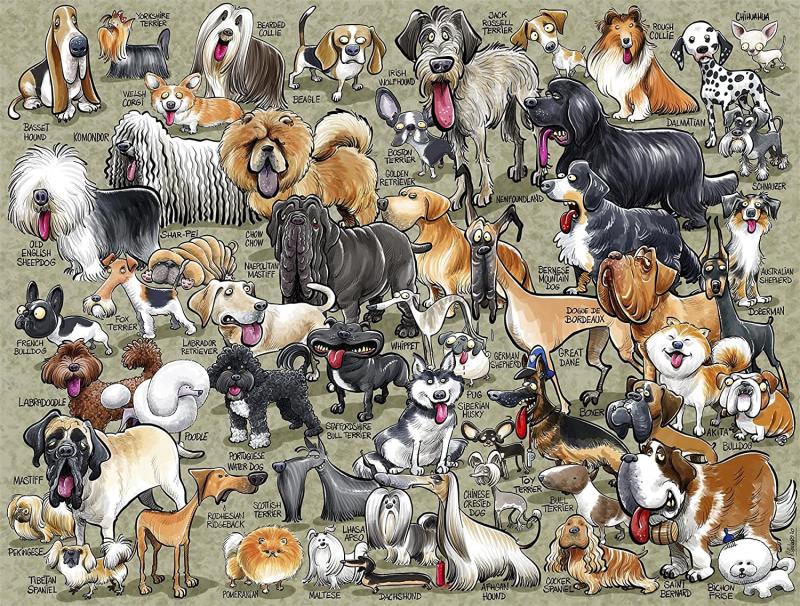 动物益智拼图英国进口正品纸质