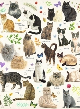 现货包邮 JUMBO荷兰进口益智拼图 猫狗海报1000片18595 18596减压