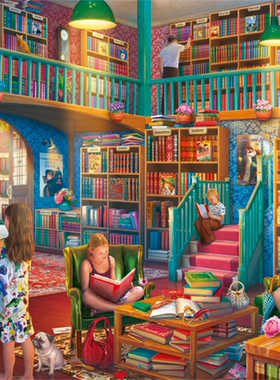 现货包邮 JUMBO荷兰进口成人益智拼图11267在图书馆1000片 Falcon