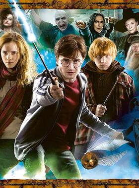 现货包邮 睿思Ravensburger德国进口益智拼图15171哈利波特1000片