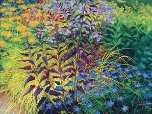 花园边界500片 美国Pomegranate石榴进口益智拼图AA739 现货 包邮