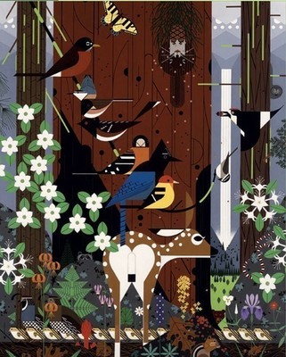 现货包邮美国益智拼图