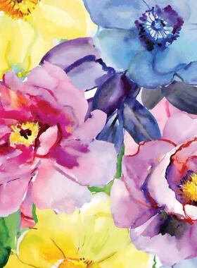 新款包邮 Interdruk波兰进口益智文艺拼图 水彩花卉500片减压玩具