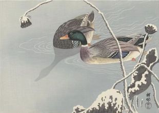 日本进口益智减压名画拼图520片 中国风 浮世绘 莲塘鸭 小原古邨