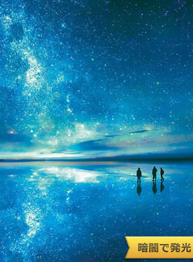 现货包邮 日本EPOCH进口成人益智拼图 星空下的盐湖 300片 夜光款