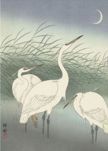 日本进口益智名画拼图520片中国风 浮世绘 芦苇中的白鹭 小原古邨