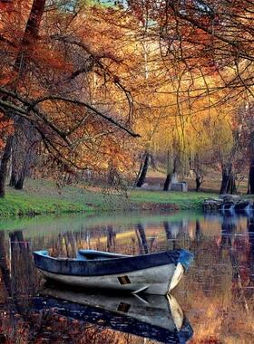 新款包邮 西班牙Educa进口成人益智风景拼图19275寂静秋日2000片