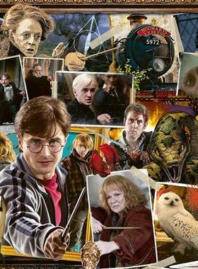 正品 睿思Ravensburger德国进口拼图15170哈利波特与伏地魔1000片