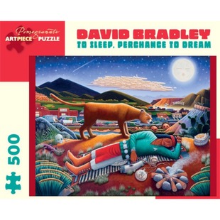 包邮 美国Pomegranate石榴进口益智拼图AA893熟睡的印第安人500片