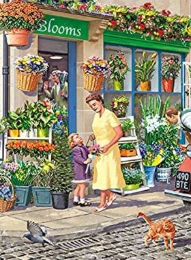 现货包邮 JUMBO荷兰进口成人益智拼图减压11297花店1000片Falcon