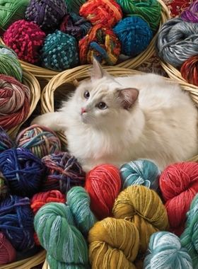 现货包邮 加拿大Cobble Hill 进口益智拼图80072毛线和猫咪1000片