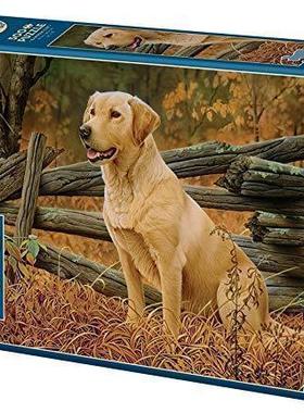 现货包邮 加拿大Cobble Hill进口益智拼图85032拉布拉多狗500大片